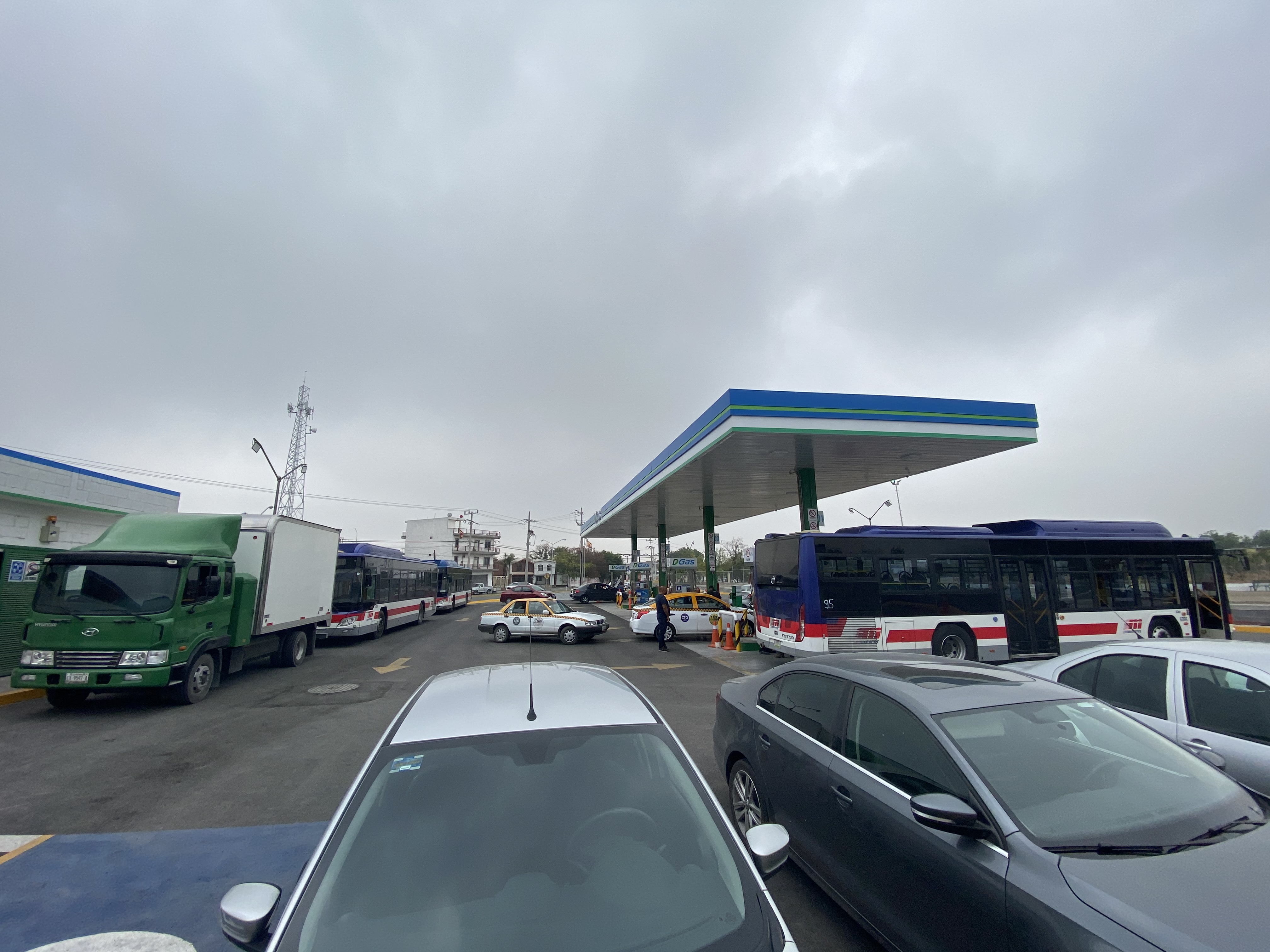Flota de camiones y autobuses en DGas